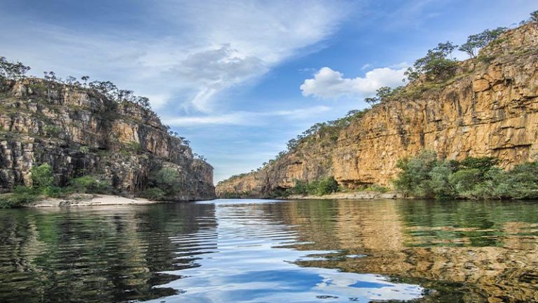 What is in Charles Darwin National Park?