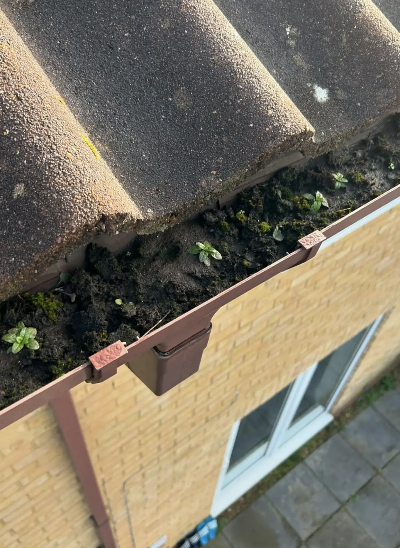 Gutter Cleaning Melbourne