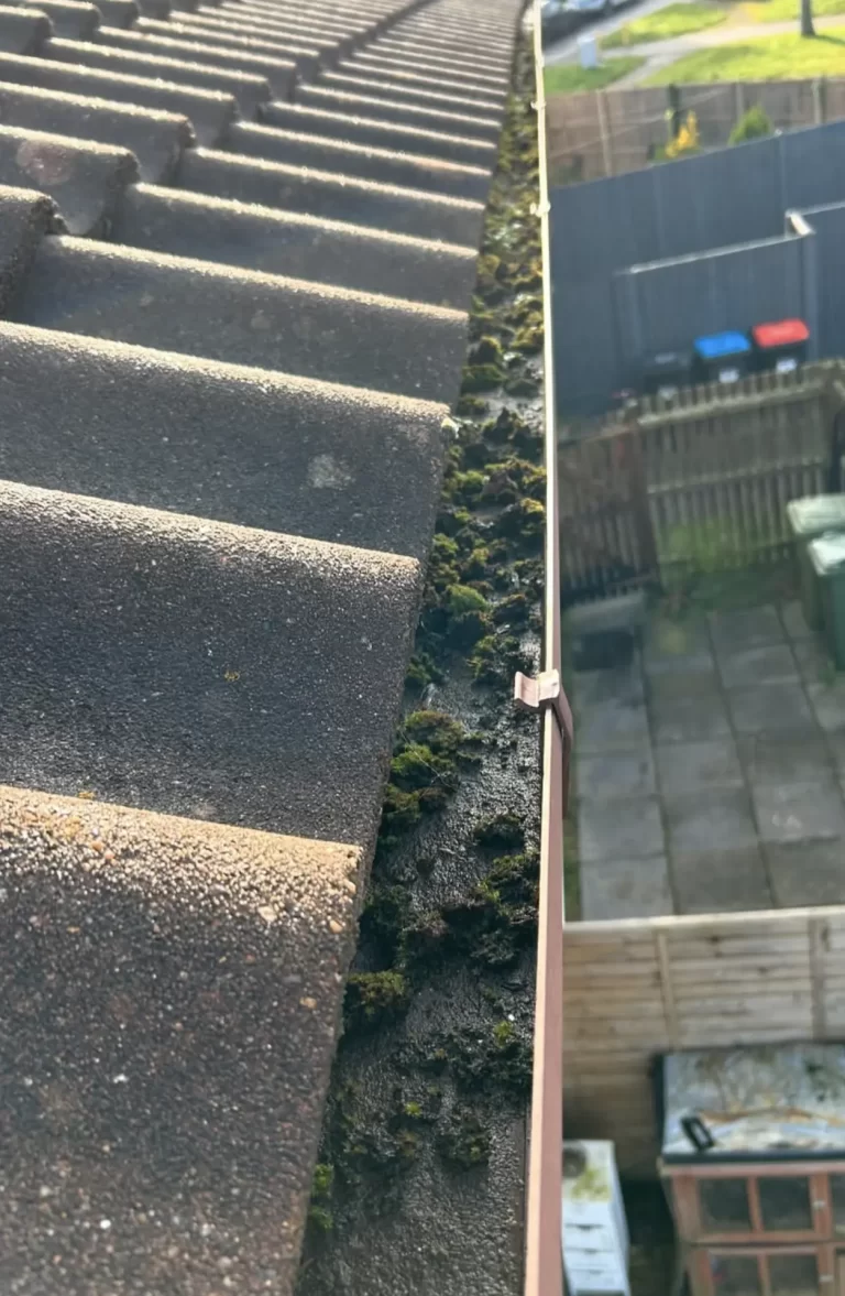 What happens if you don’t clean your house gutters?