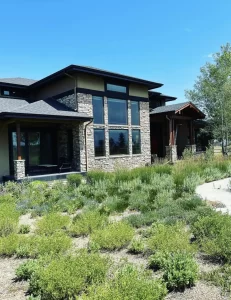 What should you not use to clean windows?