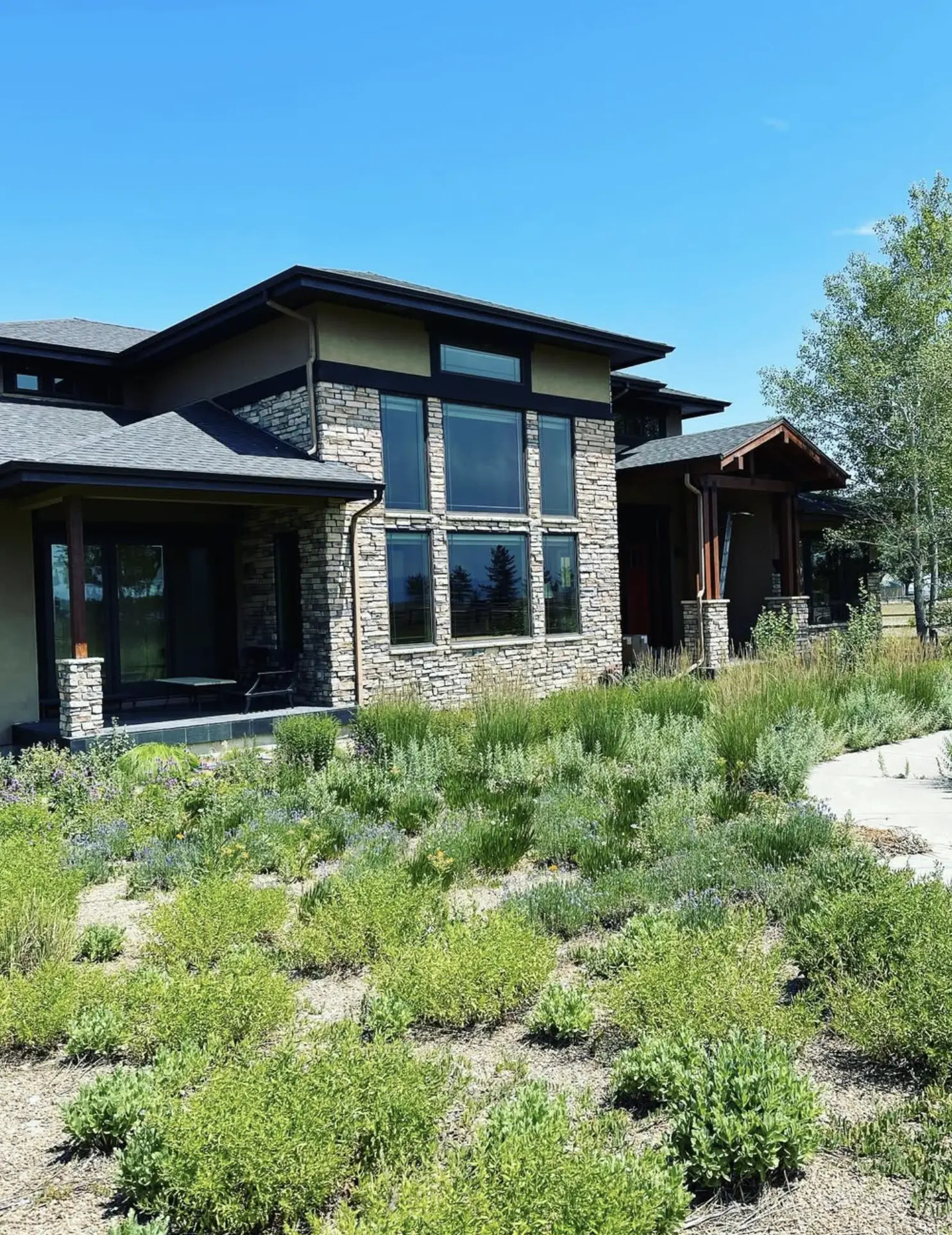What should you not use to clean windows?